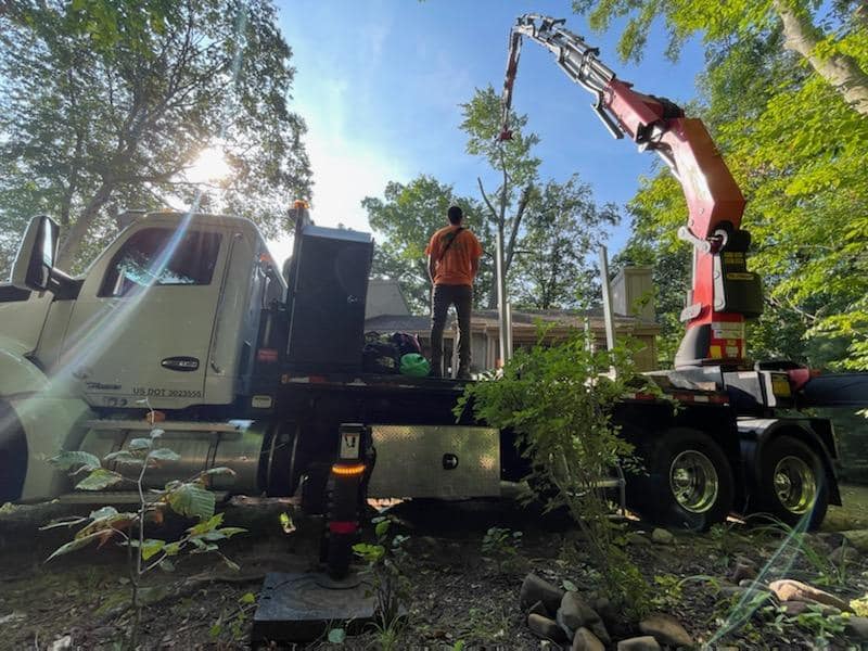 spinells Tree Service on site