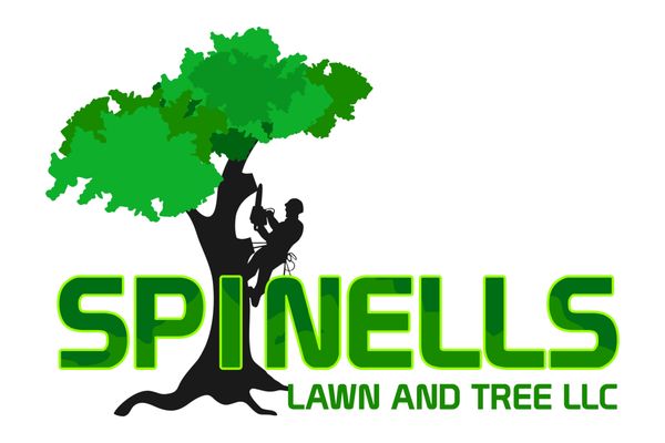 Spinells Lawn and Tree